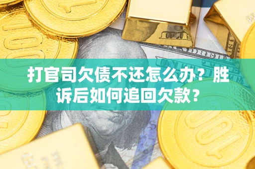 北京打官司欠债不还怎么办？胜诉后如何追回欠款？
