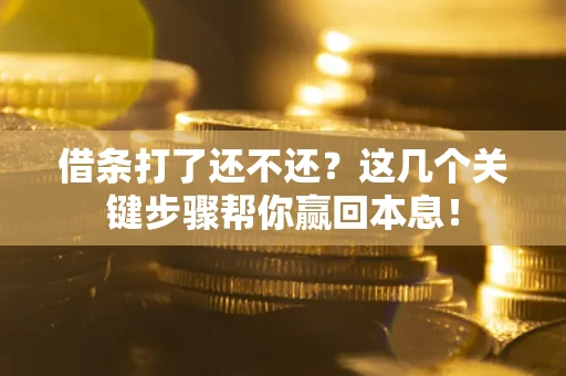 北京借条打了还不还？这几个关键步骤帮你赢回本息！