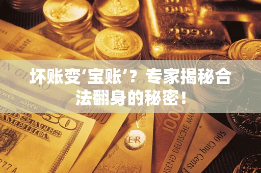 北京坏账变‘宝账’？专家揭秘合法翻身的秘密！