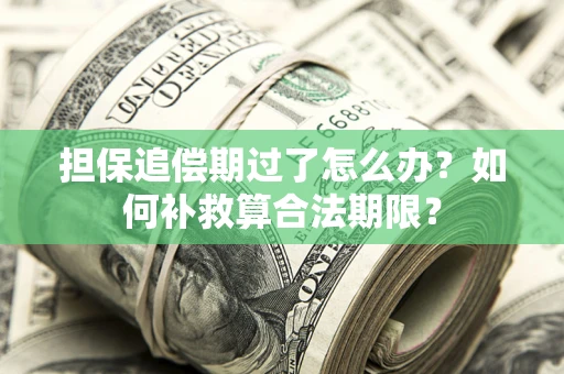 北京担保追偿期过了怎么办？如何补救算合法期限？