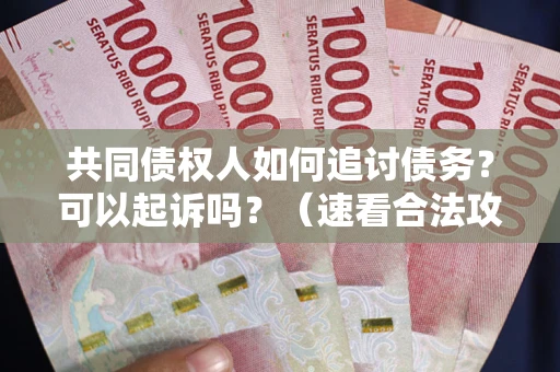 北京共同债权人如何追讨债务？可以起诉吗？（速看合法攻略）