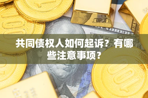 北京共同债权人如何起诉？有哪些注意事项？